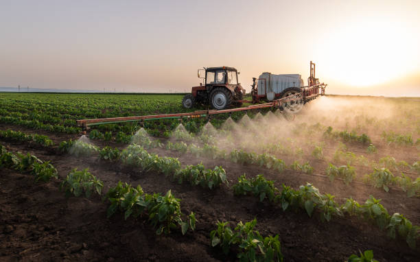 Pest Control Cost in Riverbank, CA