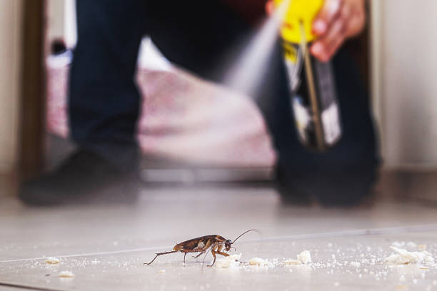 Flea Control Services in Riverbank, CA
